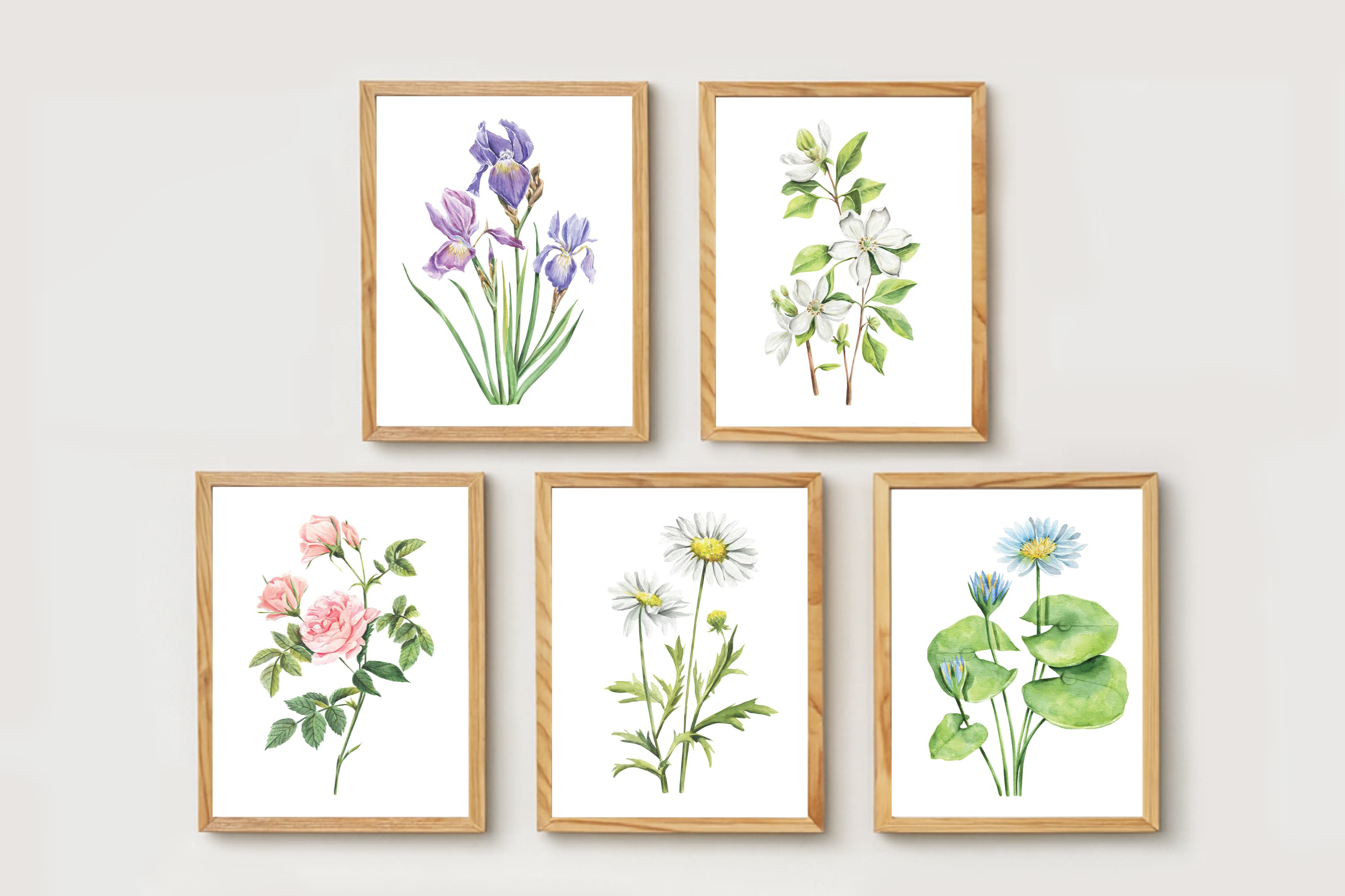 Watercolor Florals Art Print, Framed (12